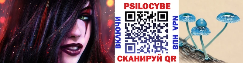 Купить закладки  Чаплыгин  Псилоцибиновые грибы ЛСД 